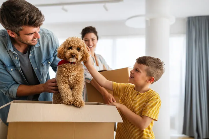 4 Tips for a Less Stressful Move