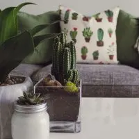 Décor Ideas