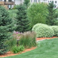 importance of soil health in landscaping