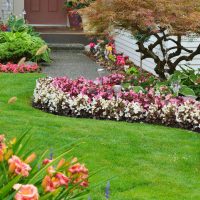 Helping Your Garden Stand Out Above The Rest