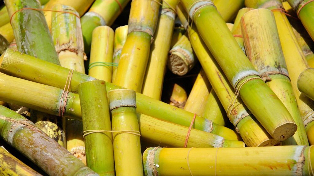 Sugar Cane Syrup Vs. Ribbon Cane Syrup