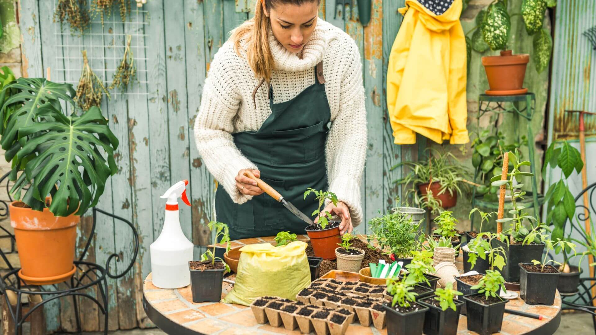 How to Organize Your Garden