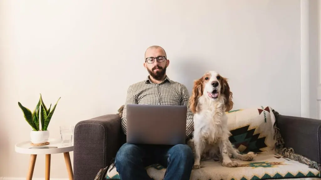 How to Stay Productive at Home When Your Pets Want Attention