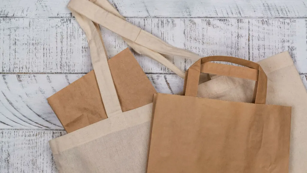 Benefits and Drawbacks of Using Paper Bags