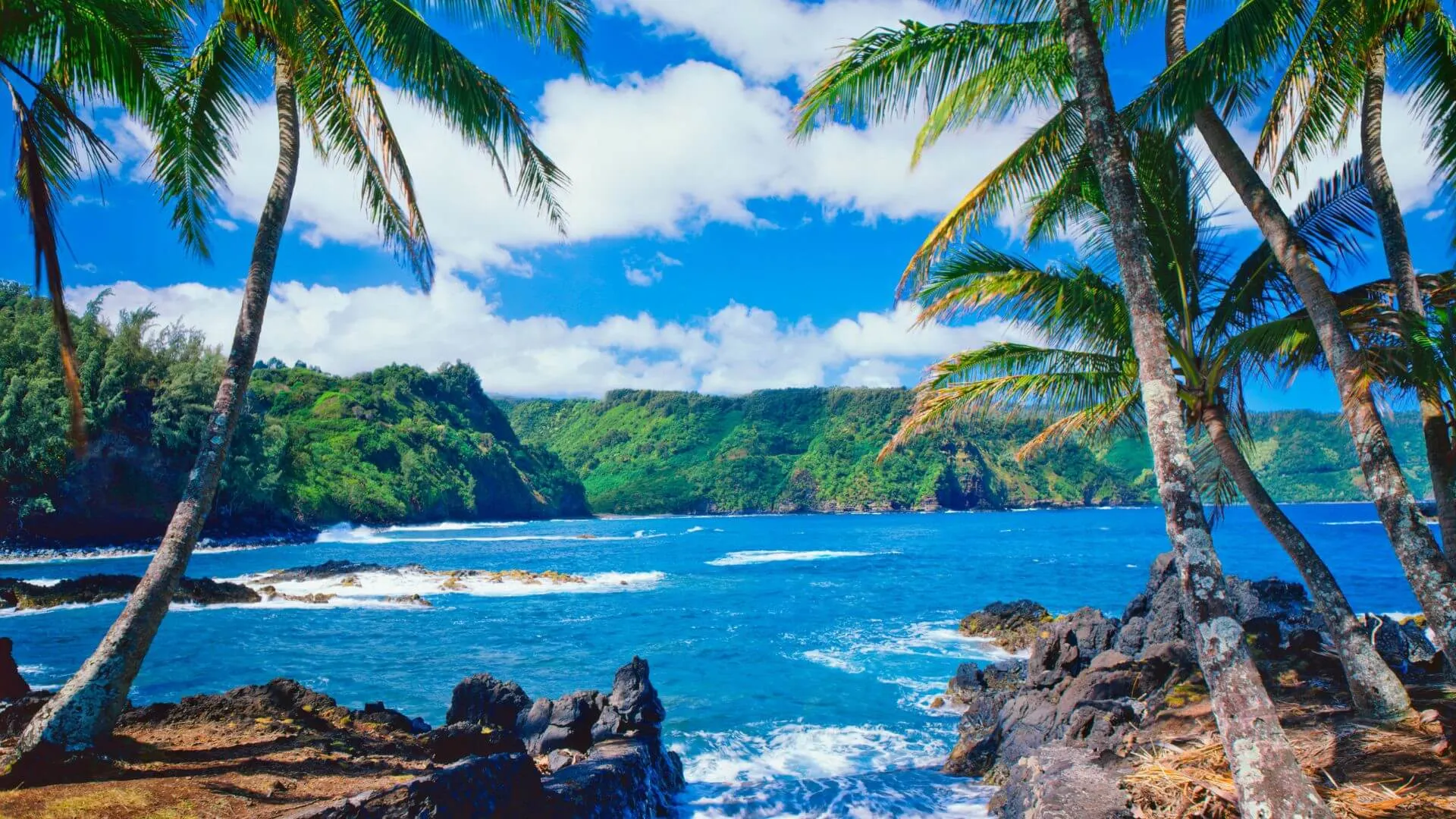 How to Plan a Perfect Hawaiian Vacation A Step-by-Step Guide