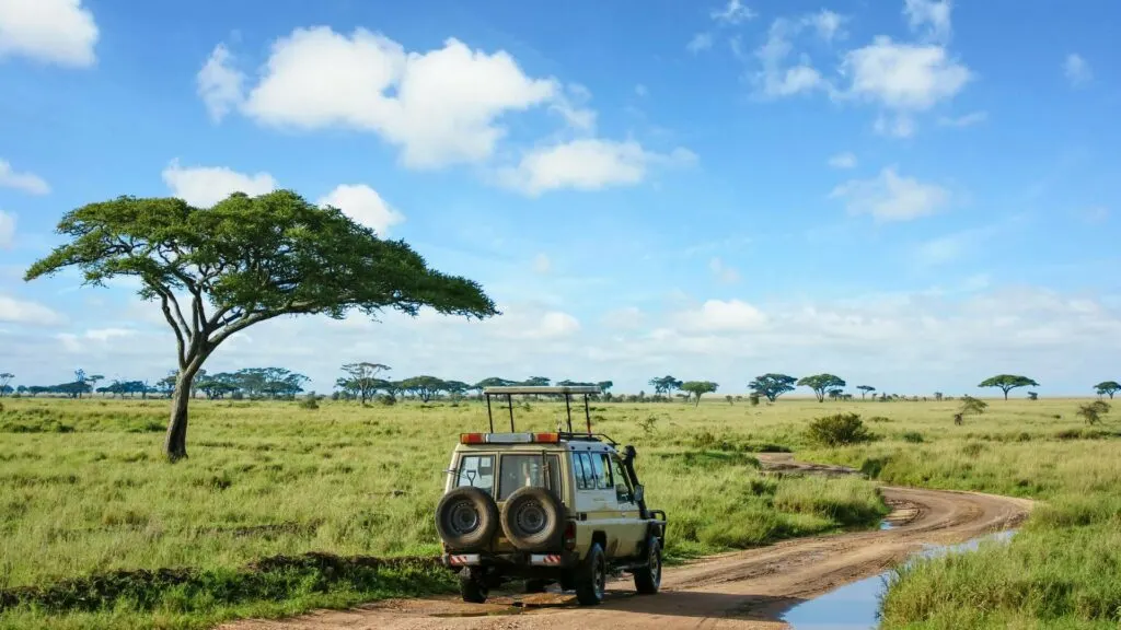 Africa's Leading Safari Company and Luxury Tour Operator