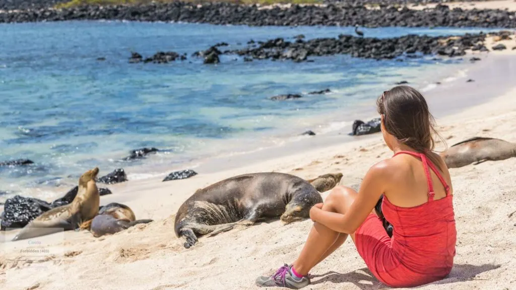 Galapagos Cruise vs Land Tour Which is Right for You