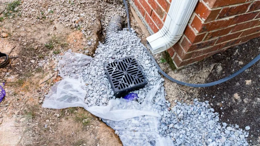 How Yard Drainage Problems Can Lead to Home Damage