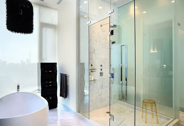 Pivot/Hinged Shower Doors