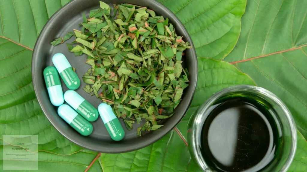 Reasons Why Buying Gold Maeng Da Kratom Capsules Is A Price Saver Option