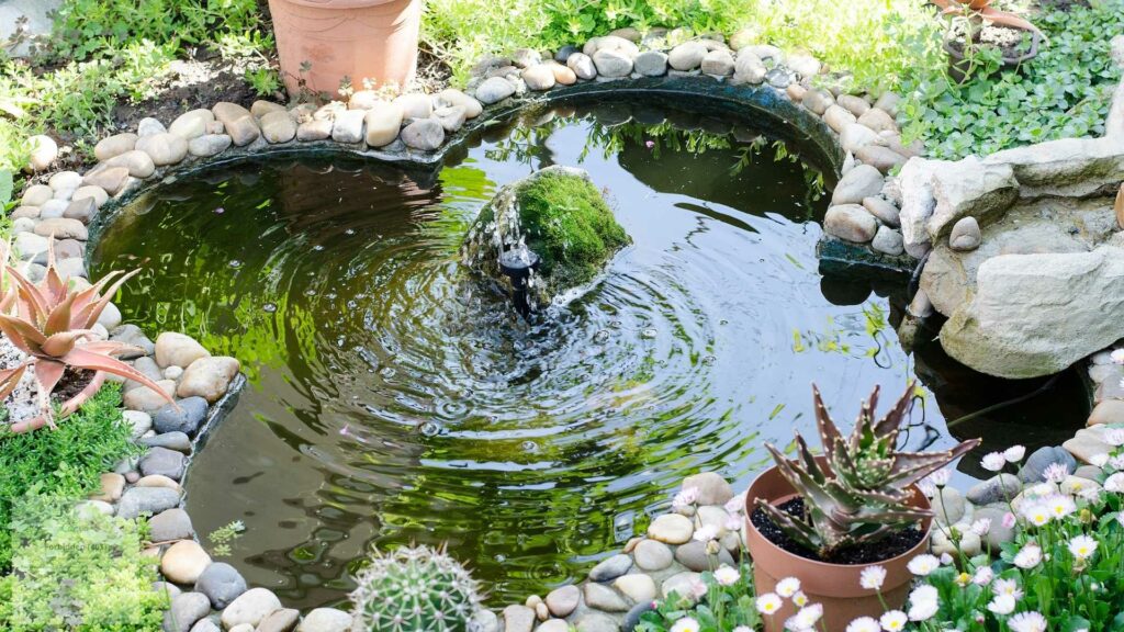 Selecting the Ideal Circulation Solution for Your Small Pond