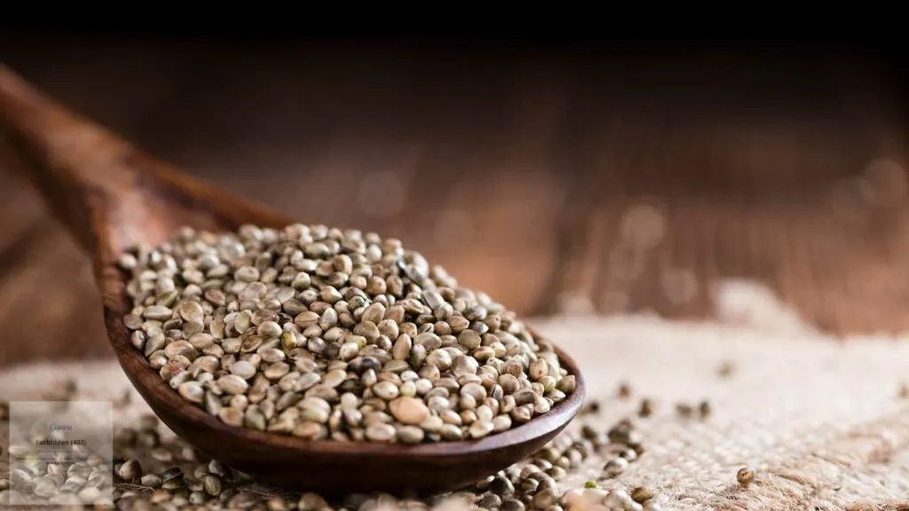 hemp-seed-benefits