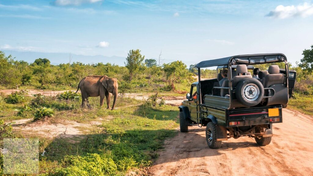 safari resorts South Africa