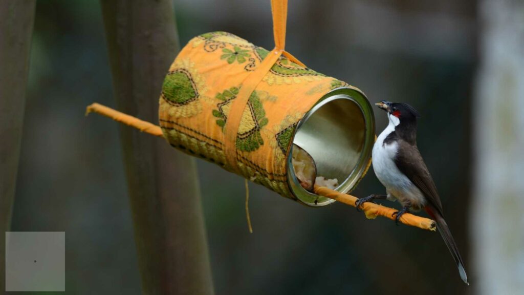 Crafting DIY Bird Feeders