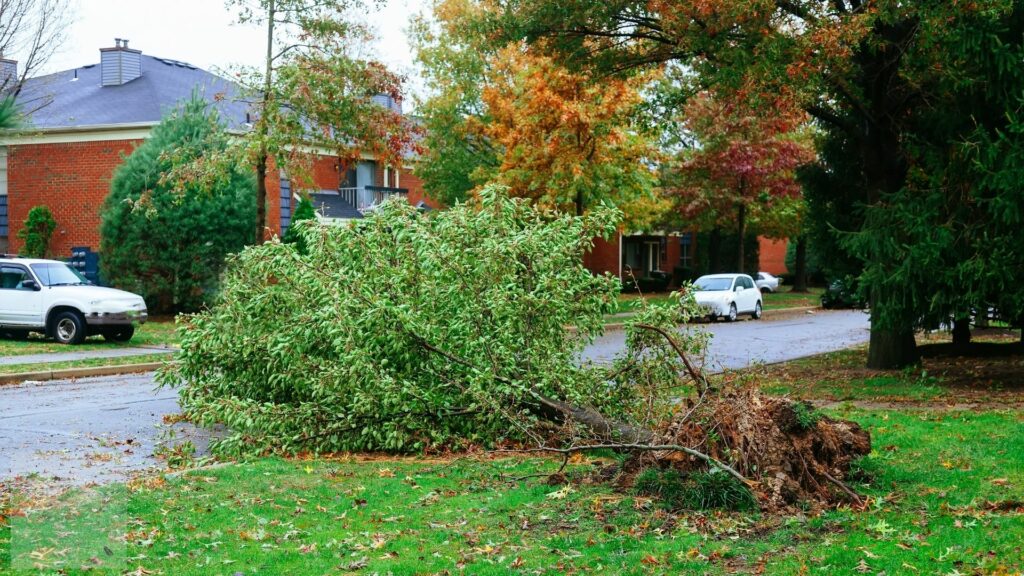 How to Prepare Your Home for Severe Weather Essential Tips