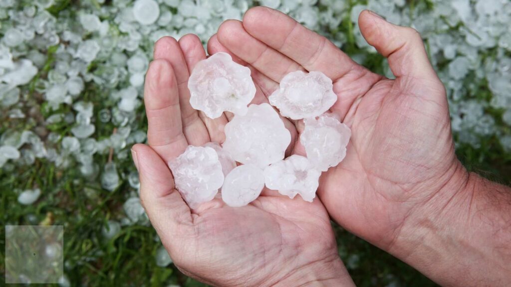 Protecting Yourself with Hail Damage in 2024