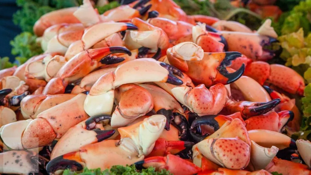 how-to-prepare-stone-crab-claws