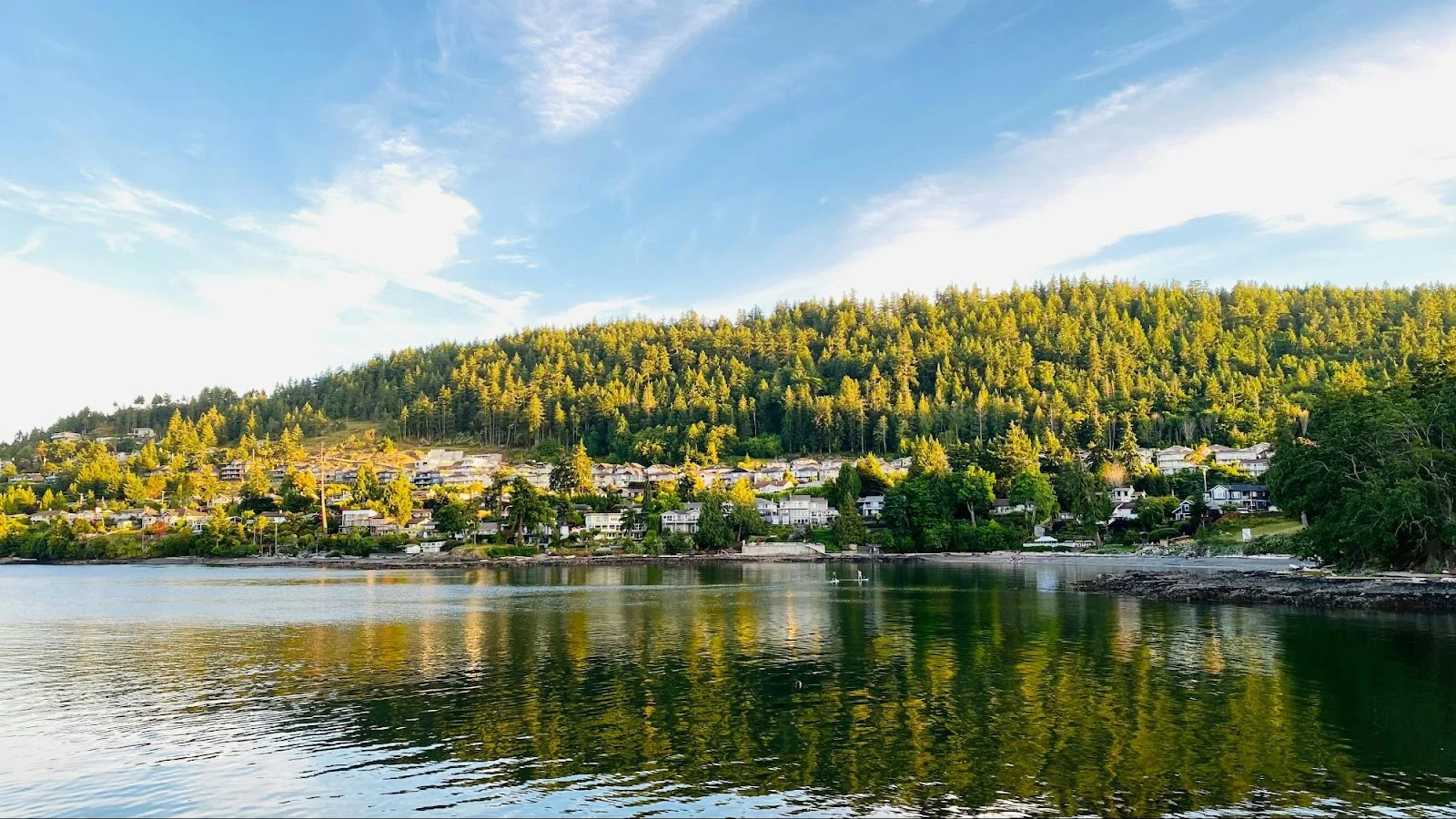 a body of water with trees and houses in the background