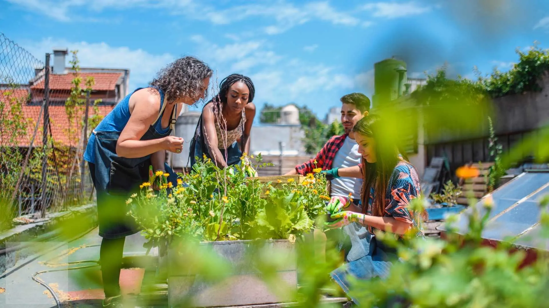 urban gardening techniques