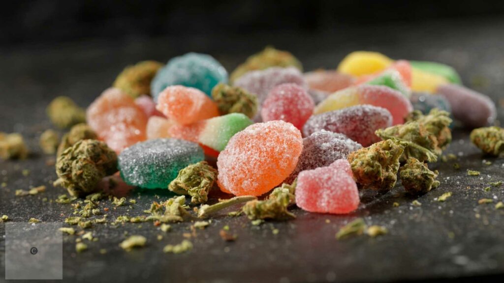 5 Things Parents Should Know About CBD Gummies for Kids