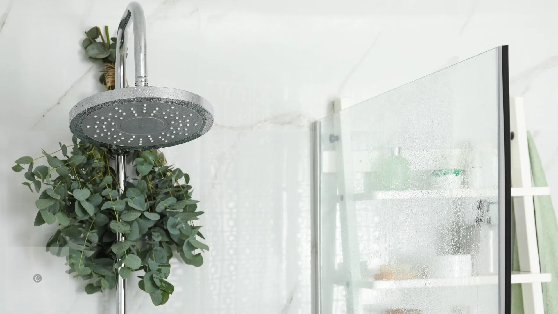 Eucalyptus Shower