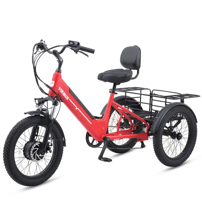 Fat Tire Electric Tricycle