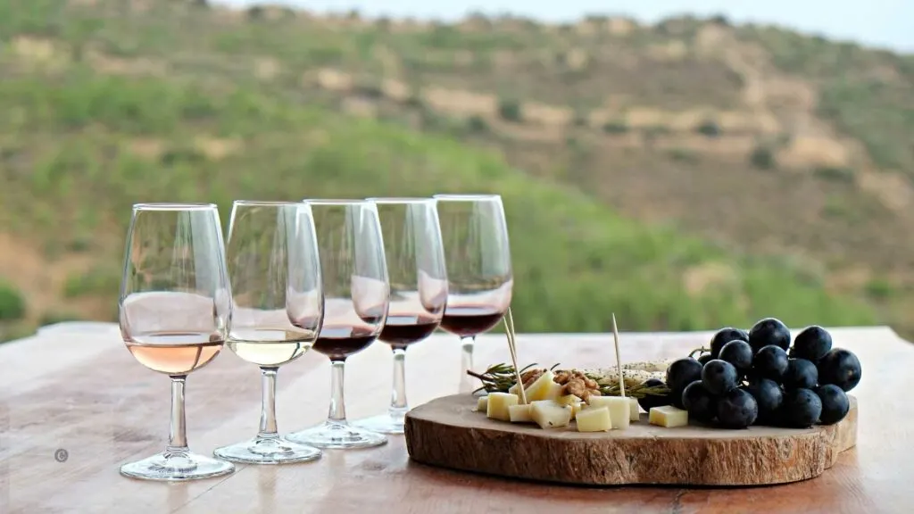 Why Every Wine Lover Needs a Quality Glasses Set