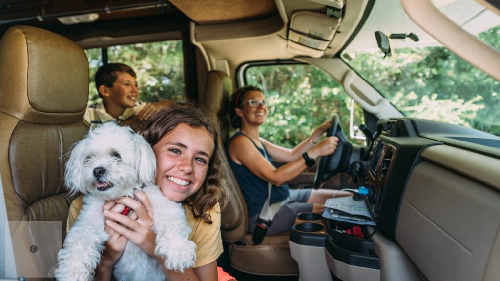 dog-friendly road trip