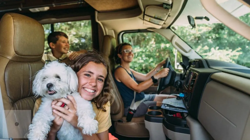 dog-friendly road trip