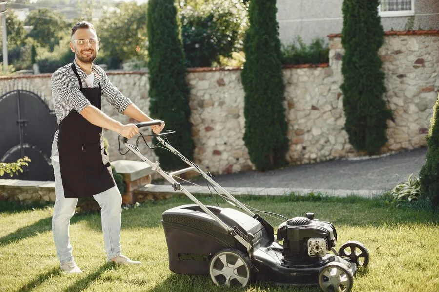 lawn care routine