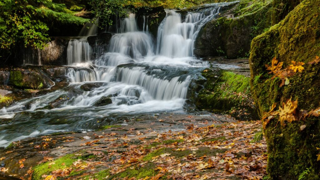 Alsea Falls 