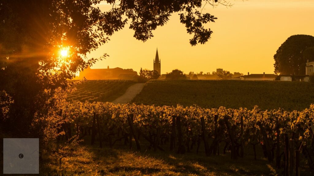 Chateau Tour in Bordeaux