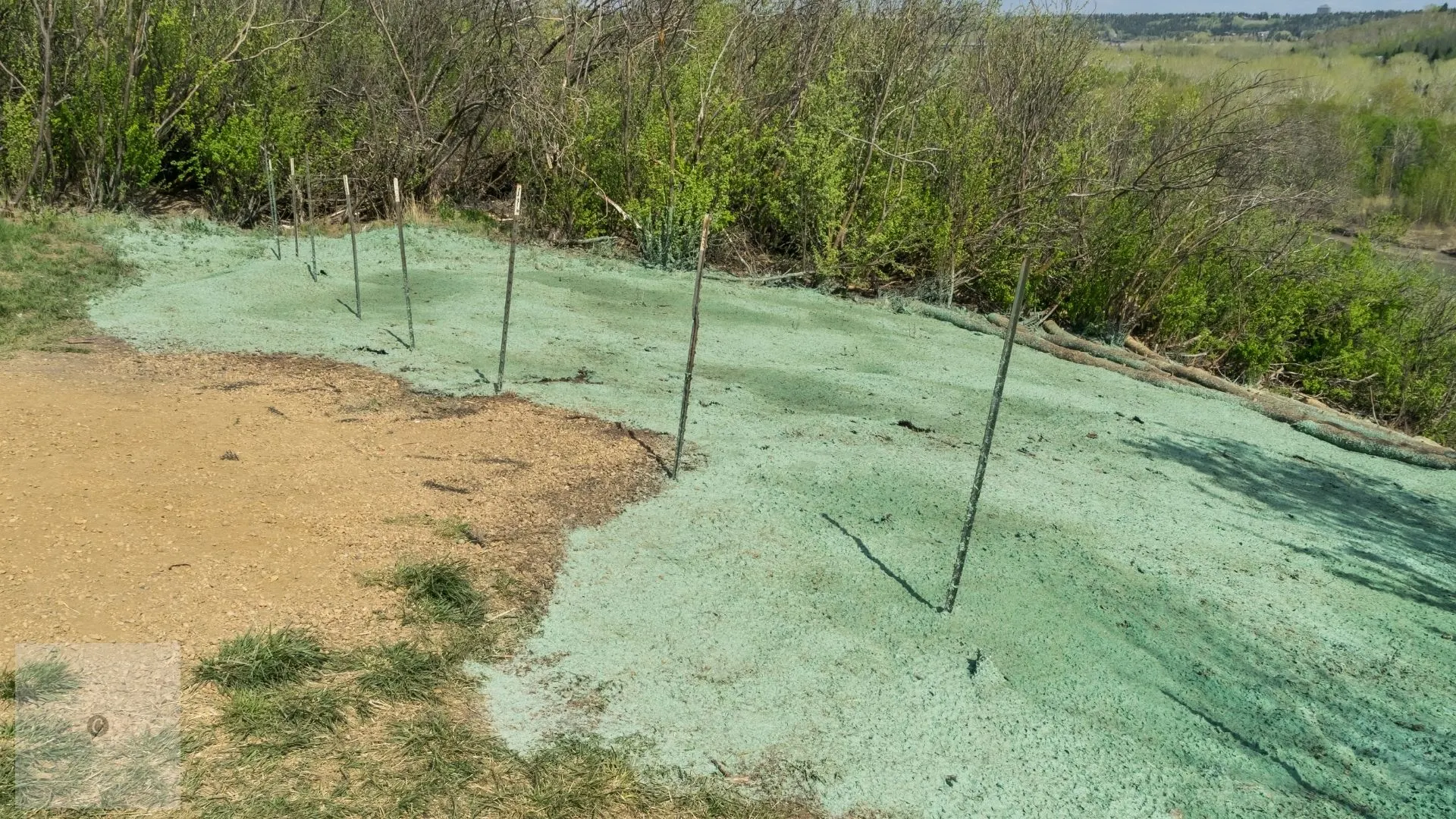 Hydroseeding 