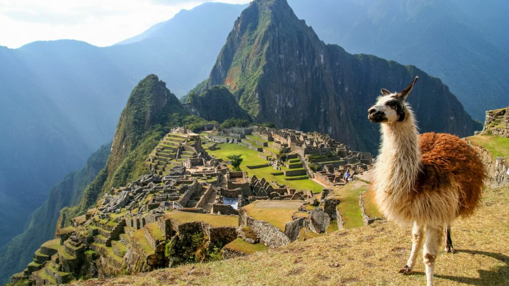 Machu Picchu