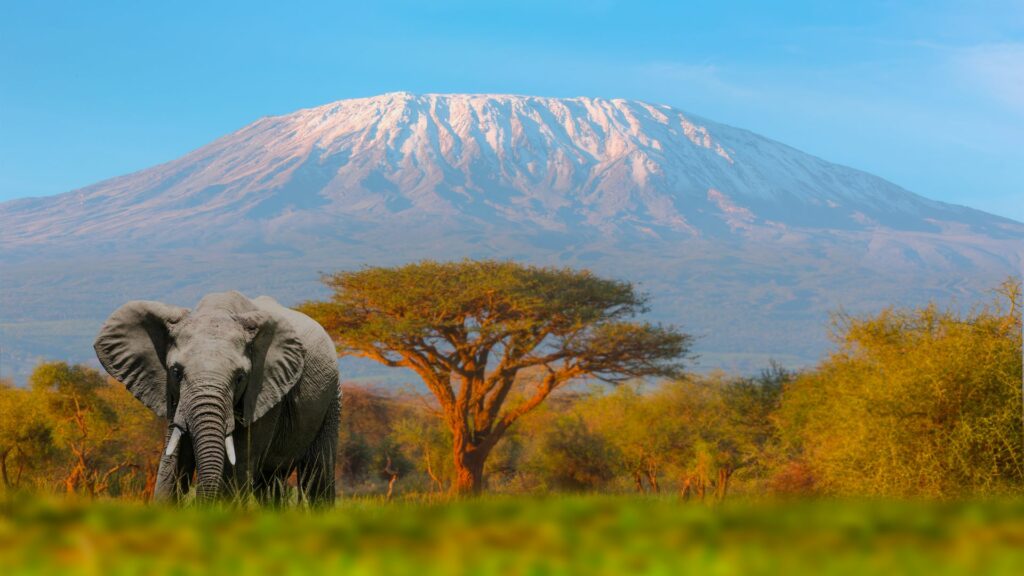 Mount Kilimanjaro