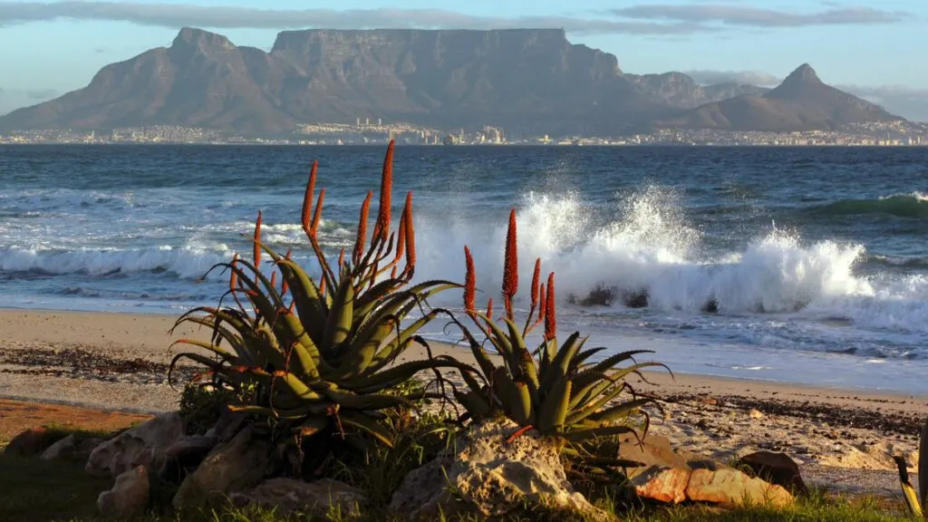 Table Mountain, South Africa