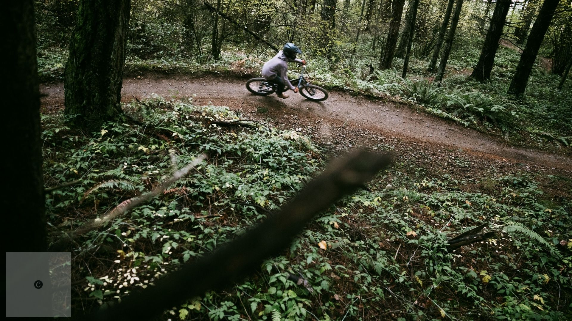 mountain biking Pacific Northwest