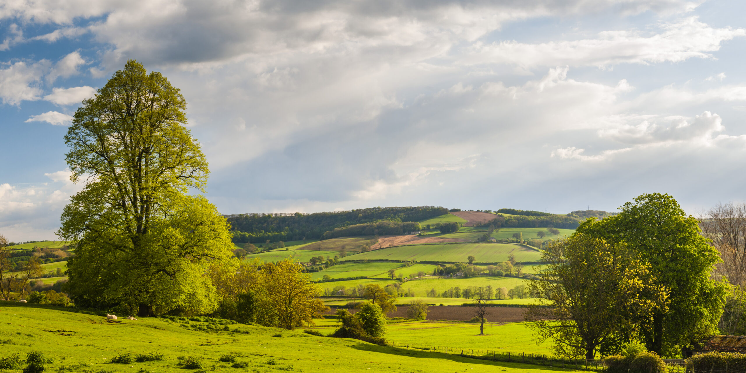 Rolling Hills of Cotswolds