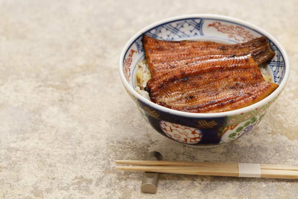 Unagi Don (Grilled Eel Rice Bowl)