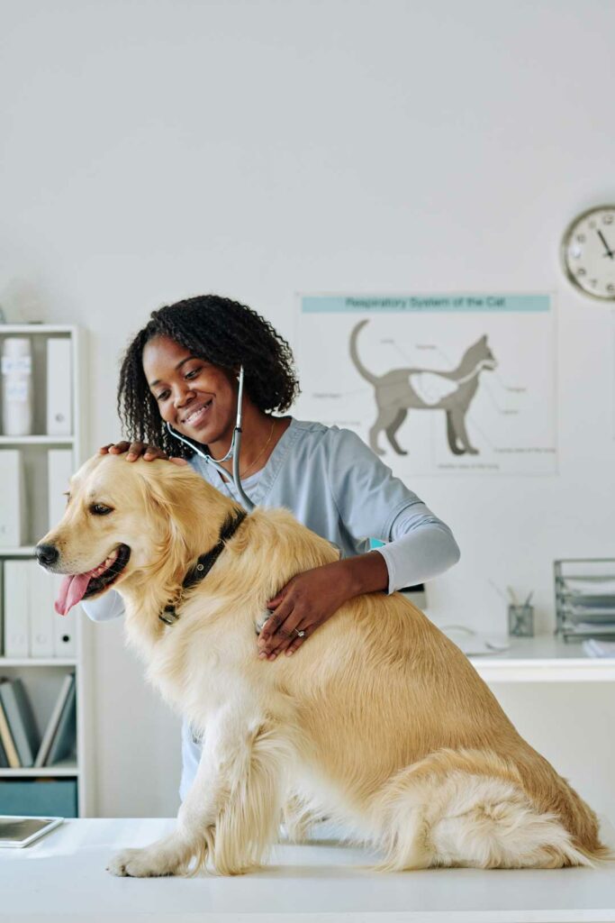 comprehensive pet insurance for dogs and cats