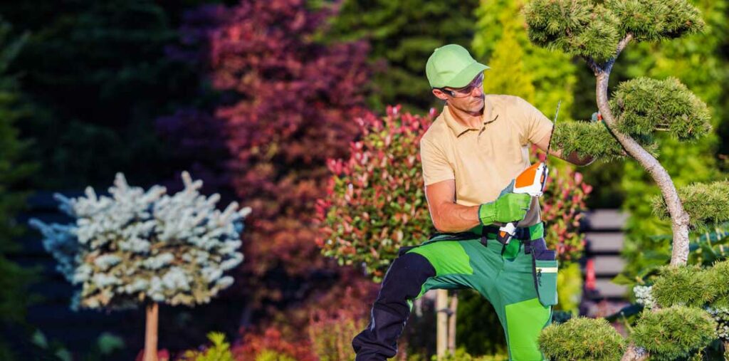 advantages of professional lawn care