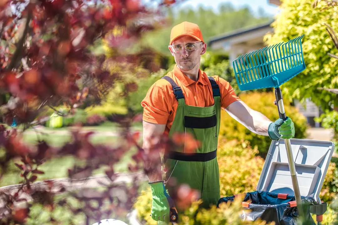 benefits of hiring a lawn care professional