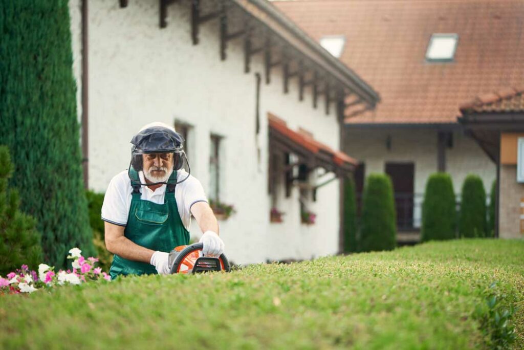 benefits of year-round lawn care