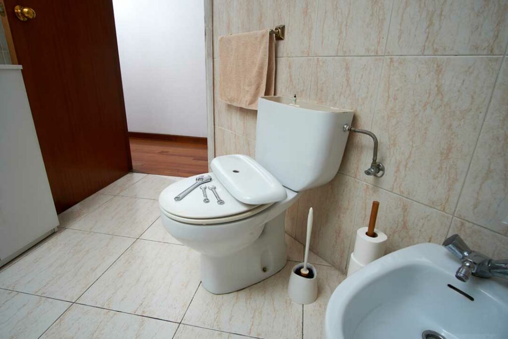 Bidet Seats 101