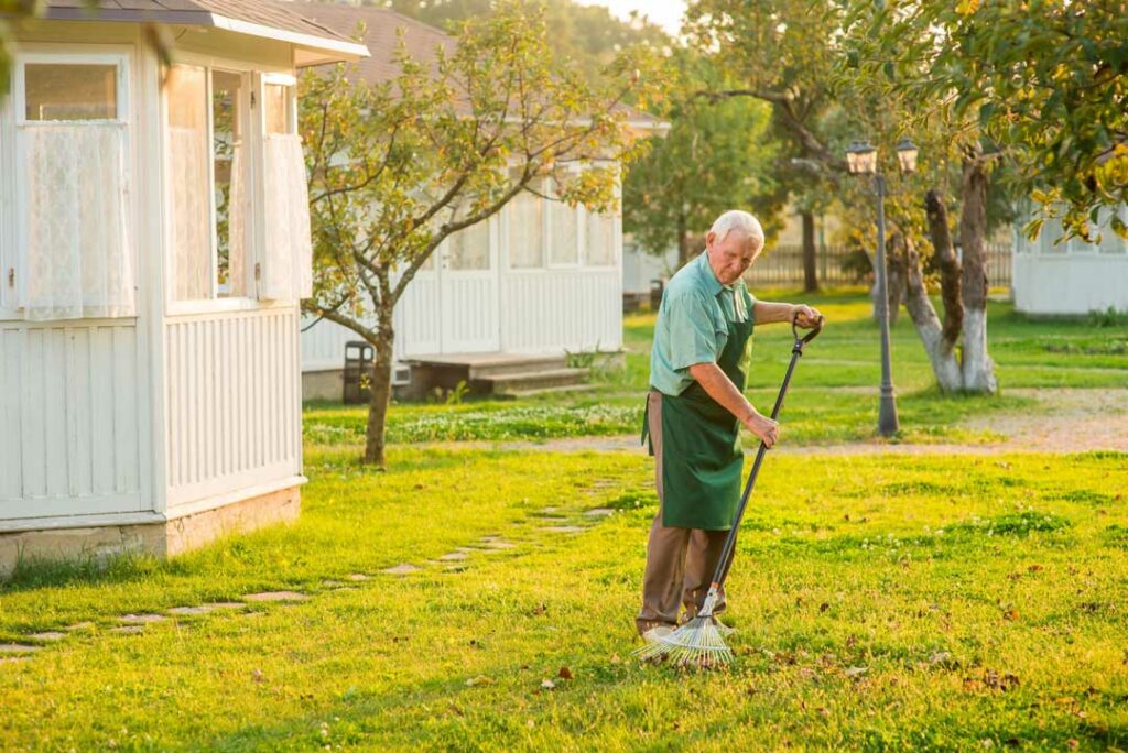 Fix Lawn Bare Spots Fast