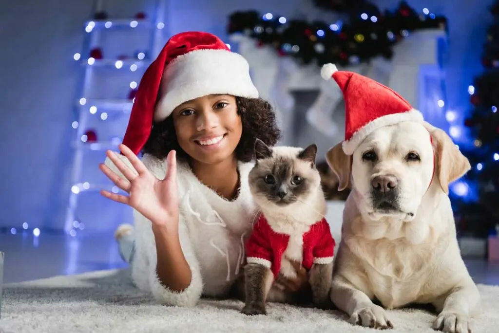 Holiday Safety for Pets