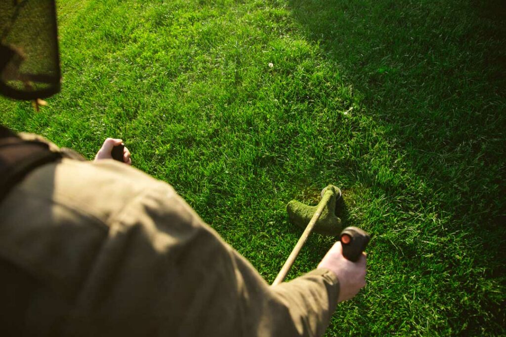 Installing Sod