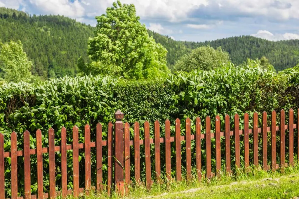 Mistakes to Avoid When Installing a Wood Fence