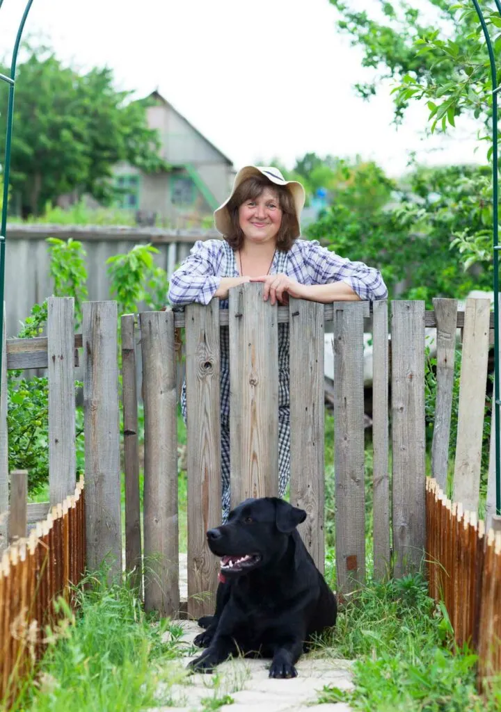 Secure Fencing for Pets