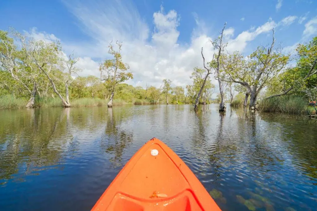 best kayaking spots in Homosassa